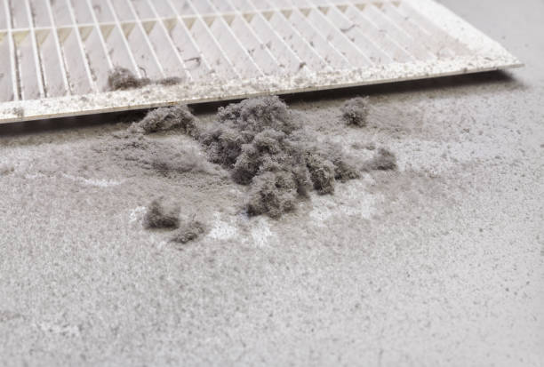 Best Best Air Duct Cleaning Company  in Oakdale, MN