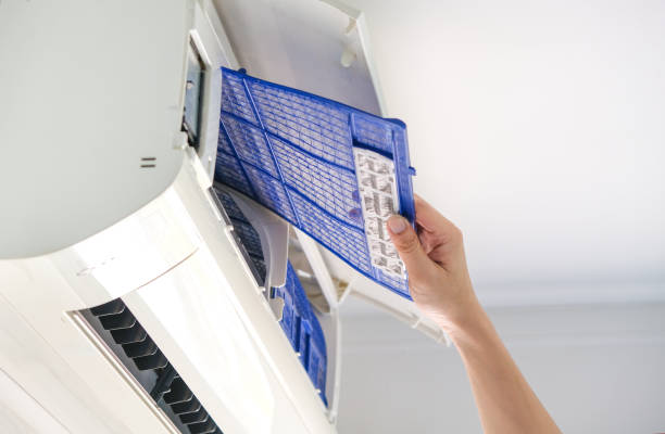 Best Duct Cleaning Specialists  in Oakdale, MN